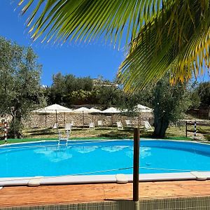 Valle degli Ulivi B&B